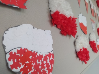 IMG_20251112_085334_wynik