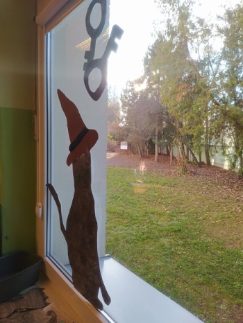 IMG_20251120_140555_wynik