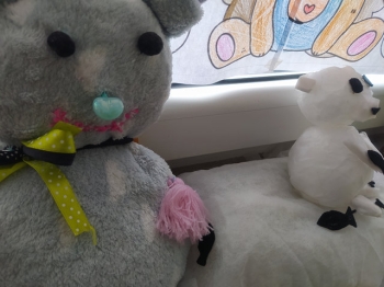 IMG_20251127_102514_wynik