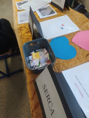 IMG_20251126_100211_wynik