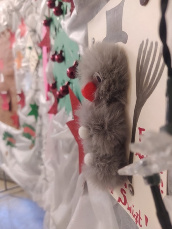 IMG_20251209_144232_wynik