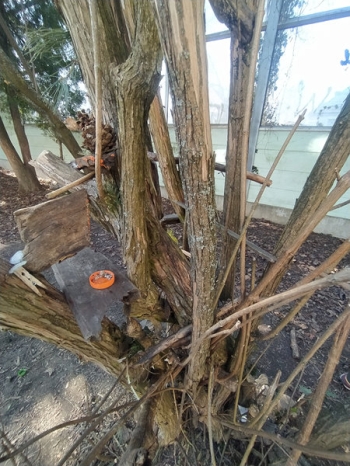 IMG_20260306_132904_wynik