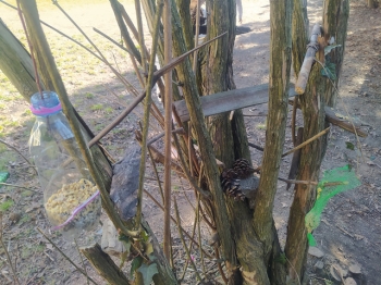 IMG_20260306_132822_wynik