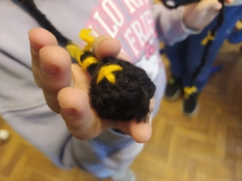 IMG_20260305_095908_wynik